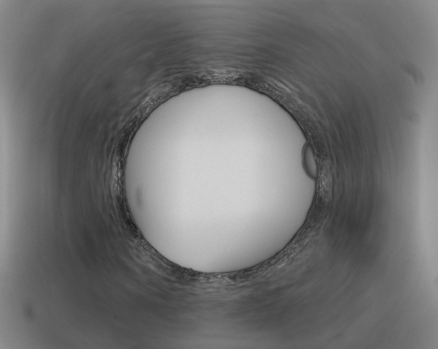 X0000114610866200910200938