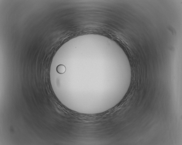X0000114610868200910200938