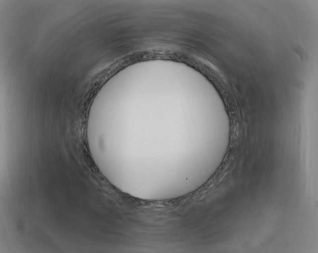 X0000114610869200910200938