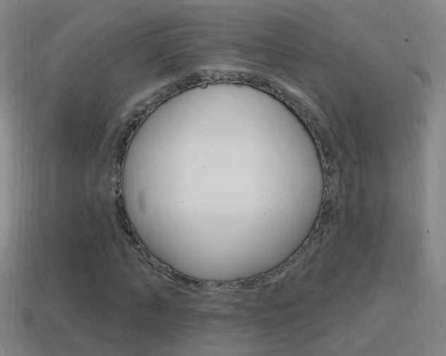 X0000114610870200910200938