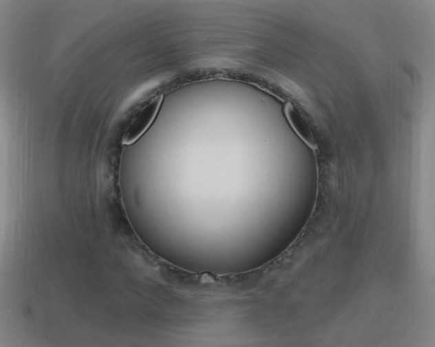 X0000114610872200910200938