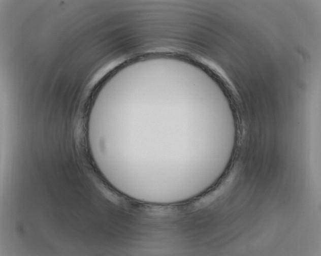 X0000114610874200910200938