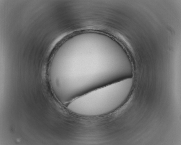 X0000114610875200910200938