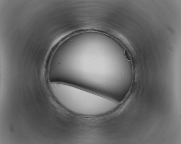 X0000114610876200910200938