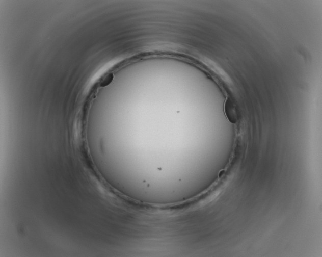 X0000114610877200910200938