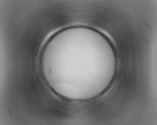 X0000114610878200910200938