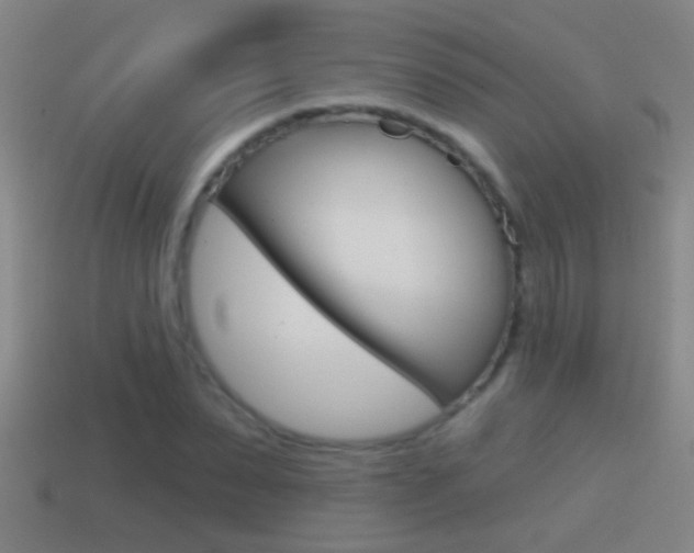 X0000114610879200910200938