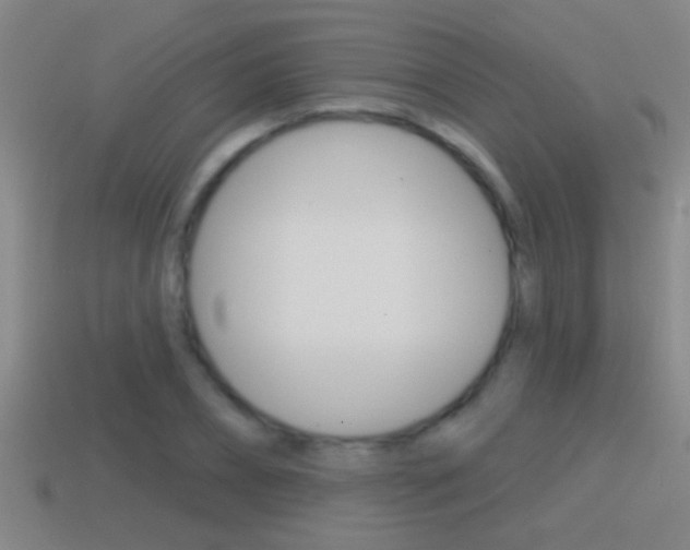 X0000114610882200910200938