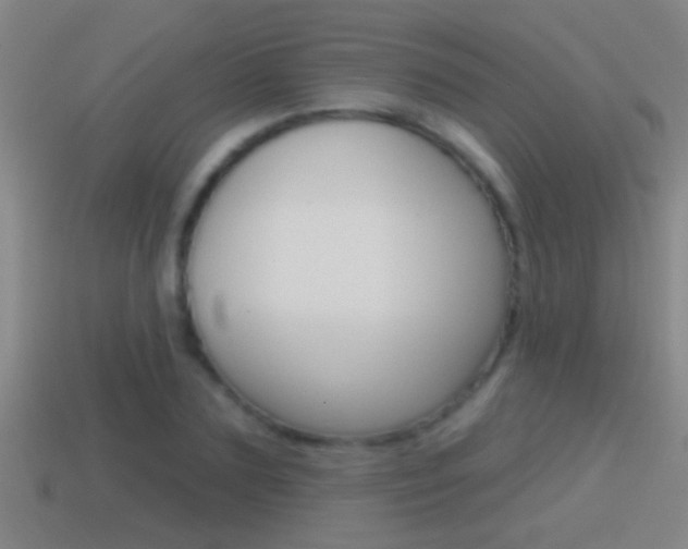 X0000114610883200910200938