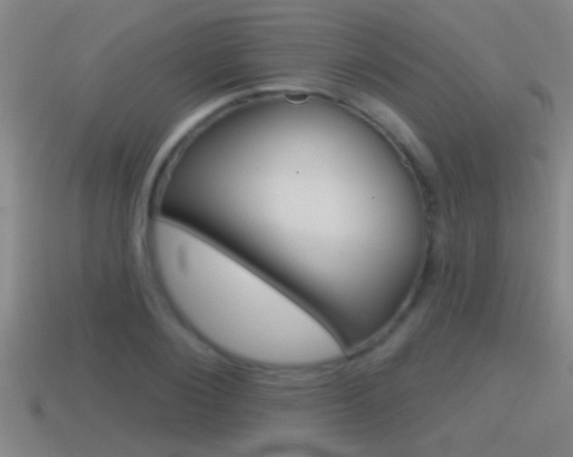 X0000114610884200910200938
