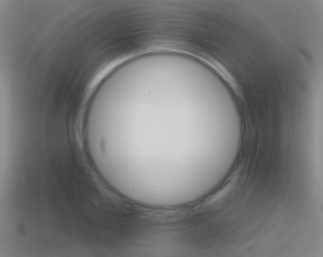 X0000114610885200910200938
