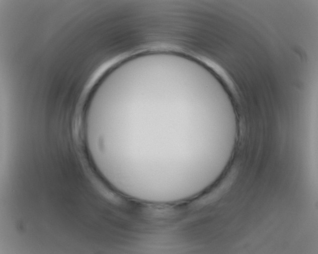 X0000114610886200910200938