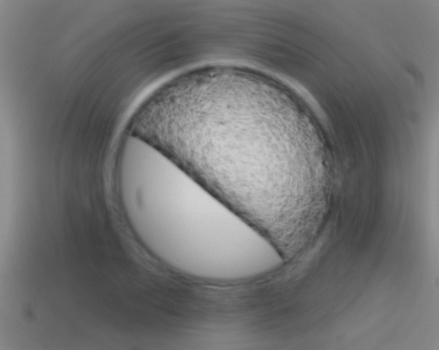 X0000114610887200910200937