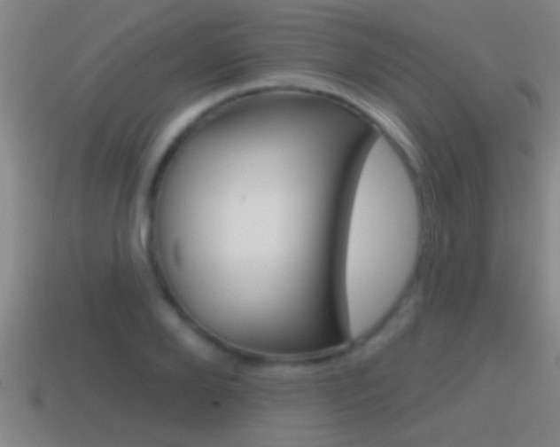 X0000114610888200910200937