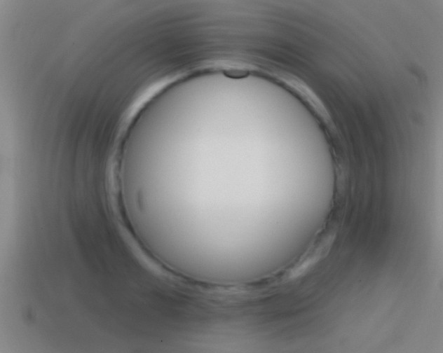 X0000114610893200910200937