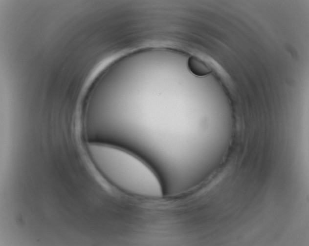 X0000114610894200910200937