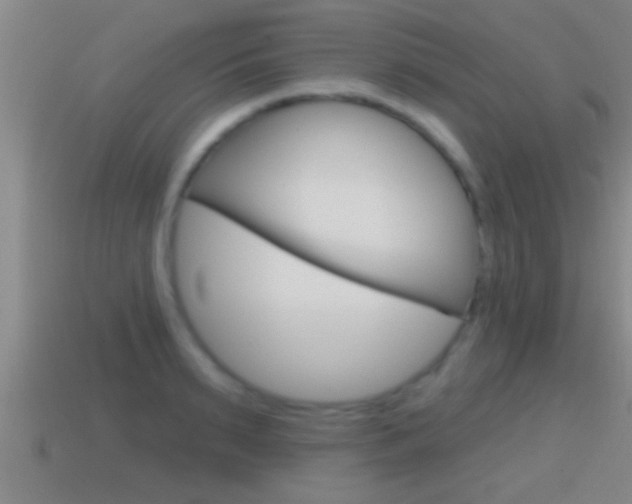 X0000114610895200910200937