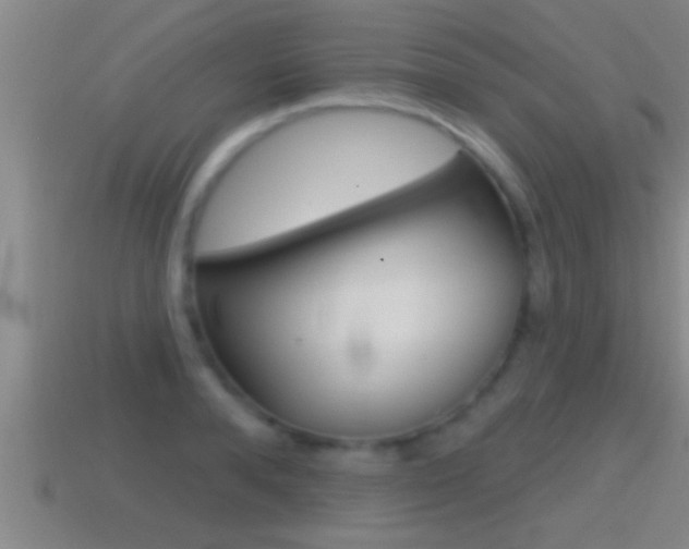 X0000114610896200910200937