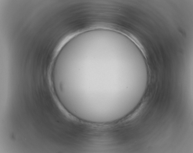 X0000114610901200910200937