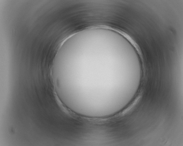 X0000114610905200910200937