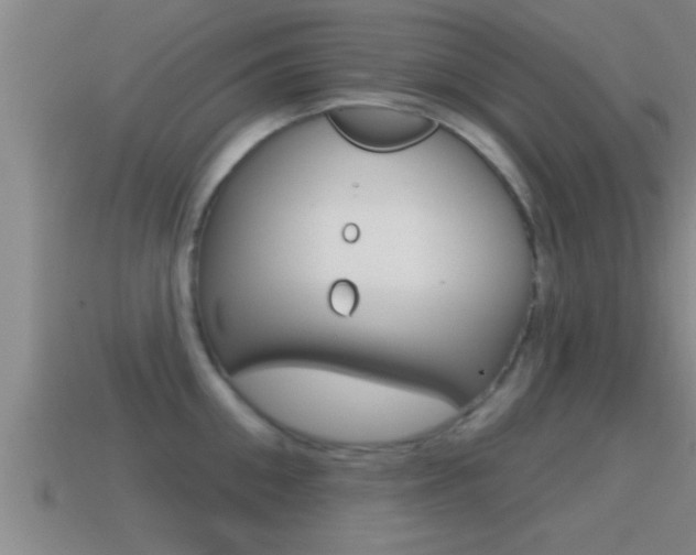X0000114610906200910200937