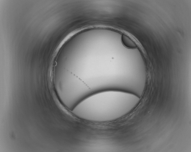 X0000114610911200910200937