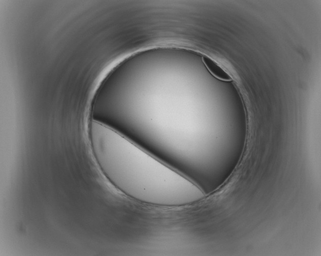 X0000114610912200910200937