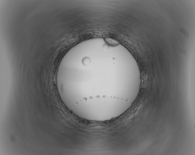 X0000114610913200910200937