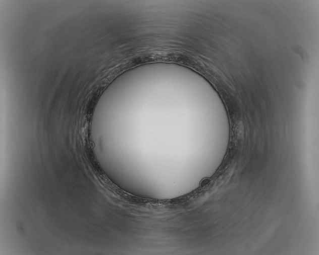 X0000114610914200910200937