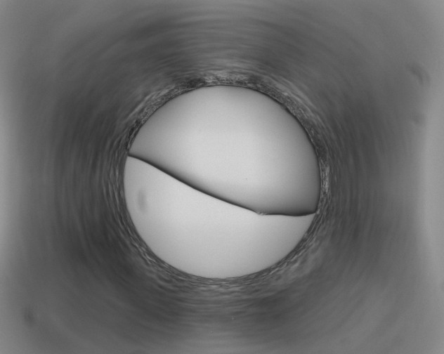 X0000114610915200910200937