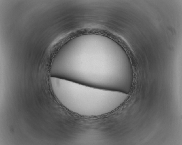 X0000114610919200910200937