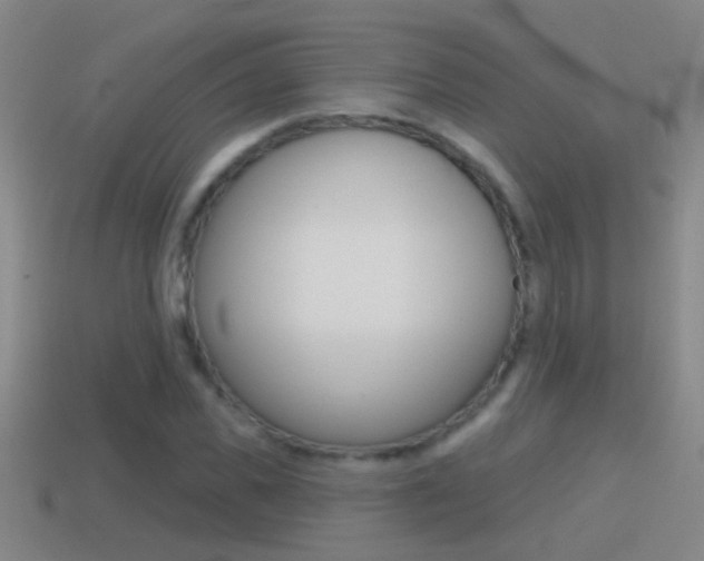 X0000114610925200910200937
