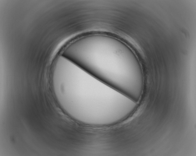 X0000114610926200910200937