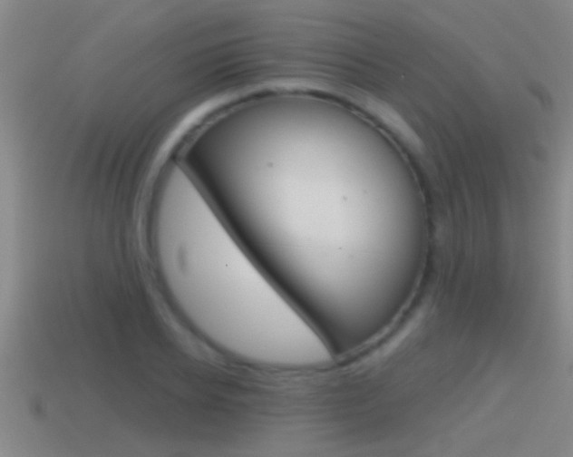 X0000114610934200910200937