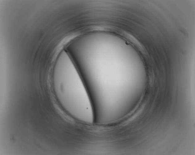 X0000114610938200910200937