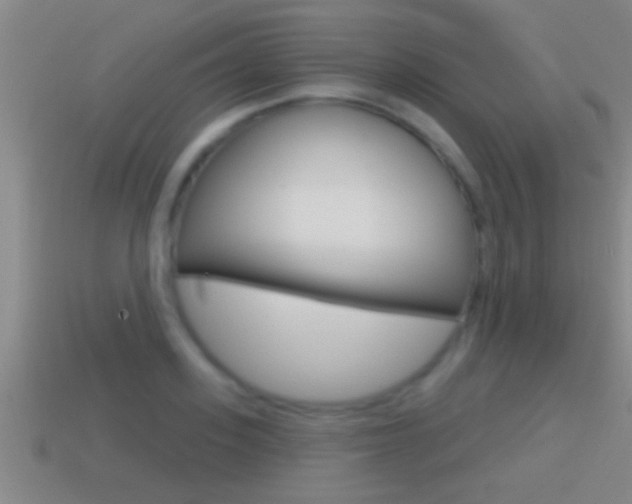 X0000114610939200910200937