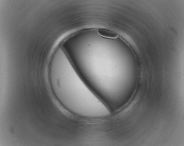 X0000114610942200910200937