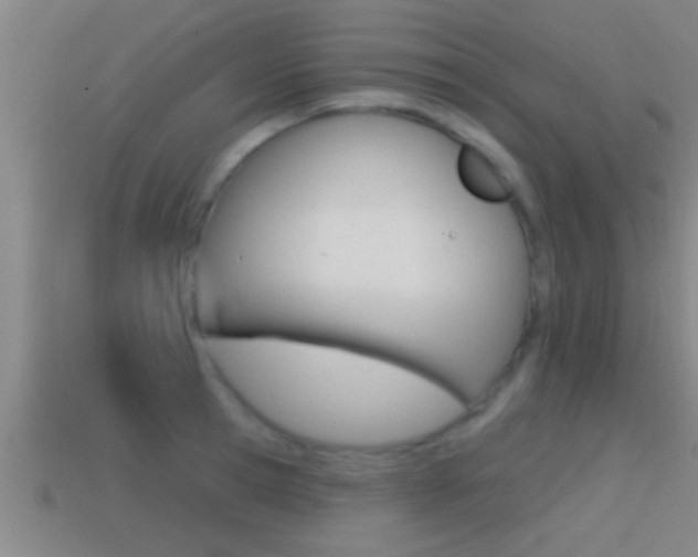 X0000114610945200910200937