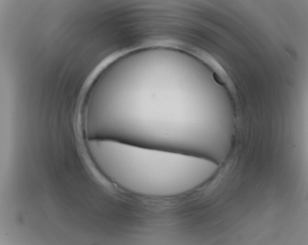 X0000114610947200910200937