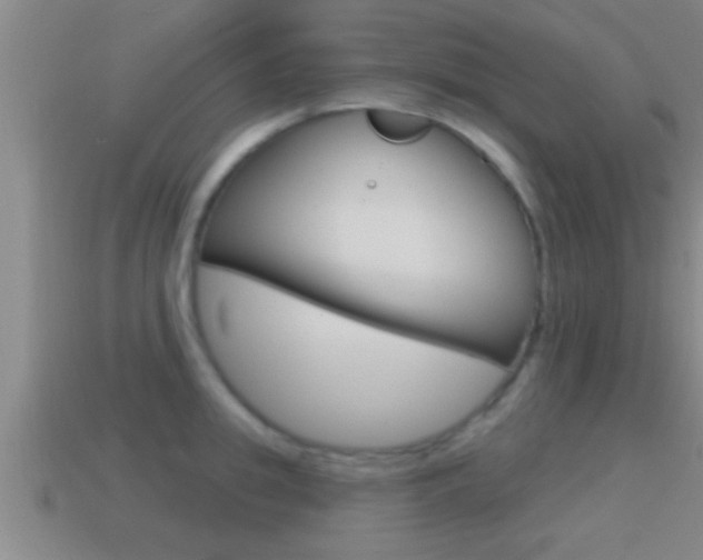 X0000114610949200910200937