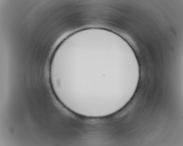 X0000114610950200910200937