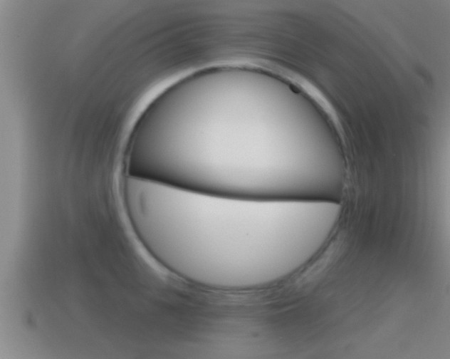 X0000114610951200910200937