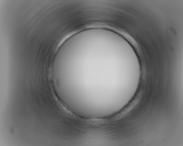 X0000114610953200910200937