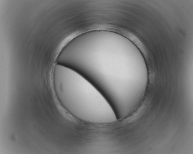 X0000114610954200910200937