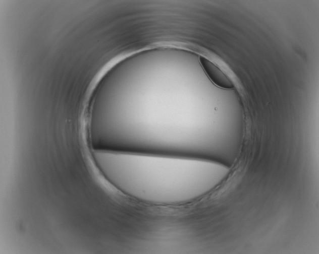 X0000114610955200910200937