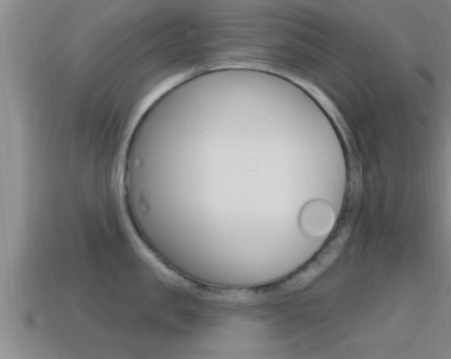 X0000114610957200910200937