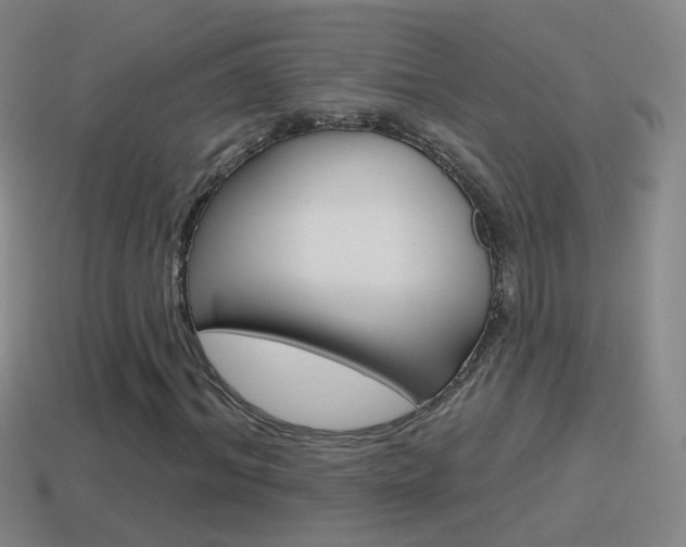 X0000114610964200910200937