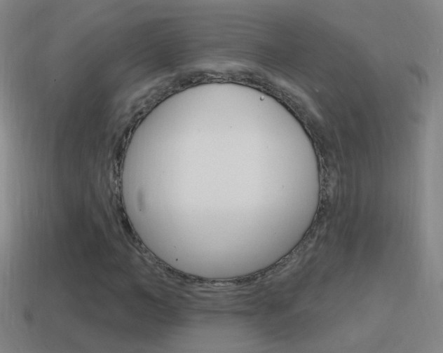 X0000114610966200910200936