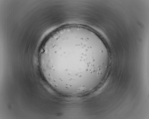 X0000114610974200910200936