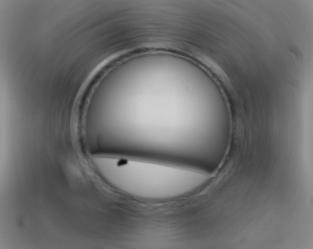 X0000114610976200910200936